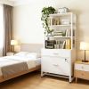 Ample Storage File Cabinet, 2-Drawer, White