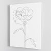 Peony Lines Canvas Print or Poster