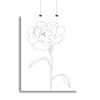 Peony Lines Canvas Print or Poster
